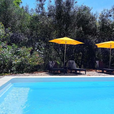 Chalet "Le Petit Olivier" Gites Appart 'Hotel L'Echappee Belle D'Aubenas Logement 2 Sur 3 Экстерьер фото